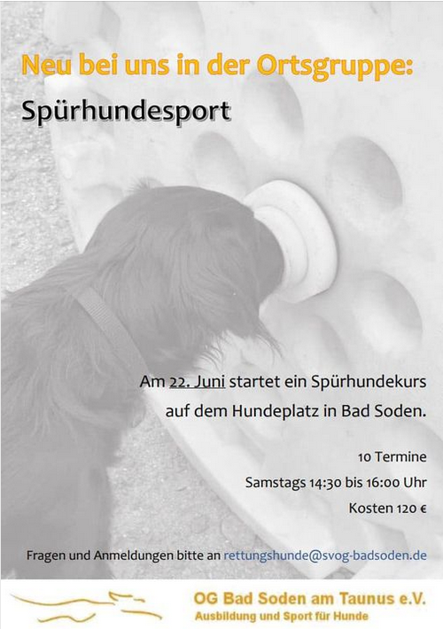 hund leine