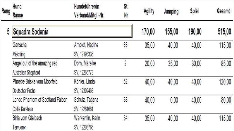 DVM2012 1-1