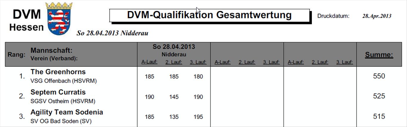 dvm2013 erbstadt 1