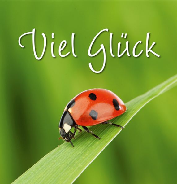 Glueck