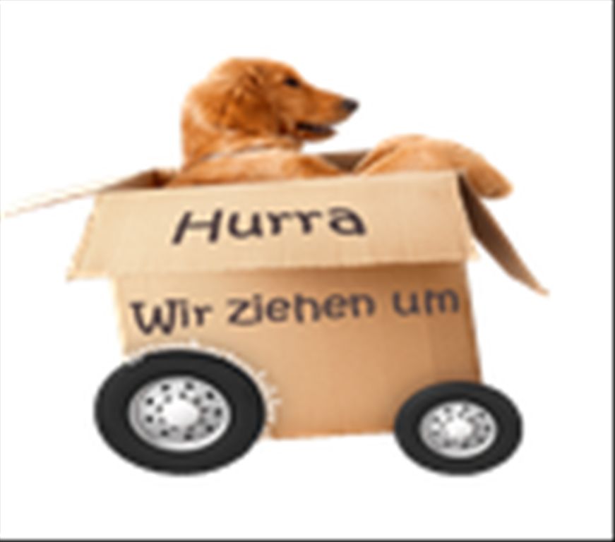 umzug
