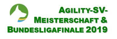 Agility-SV-DM-BuLiFinale2019