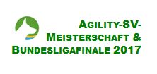 sv-dm-bufi-2017 logo